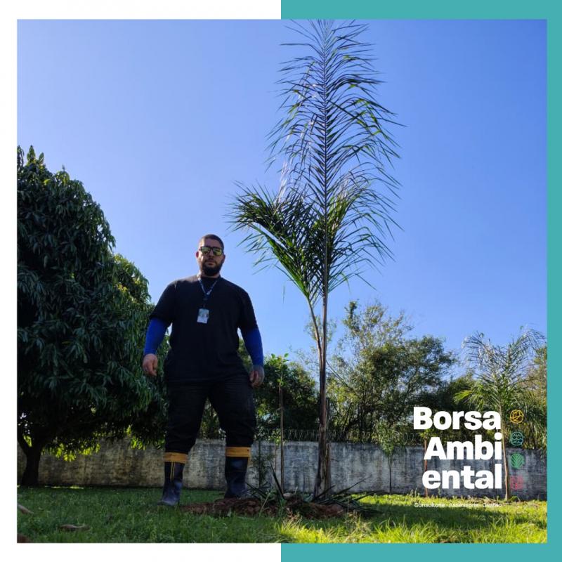 Conservação e Preservação Ambiental: entenda as diferenças Conservação e Preservação Ambiental: entenda as diferenças