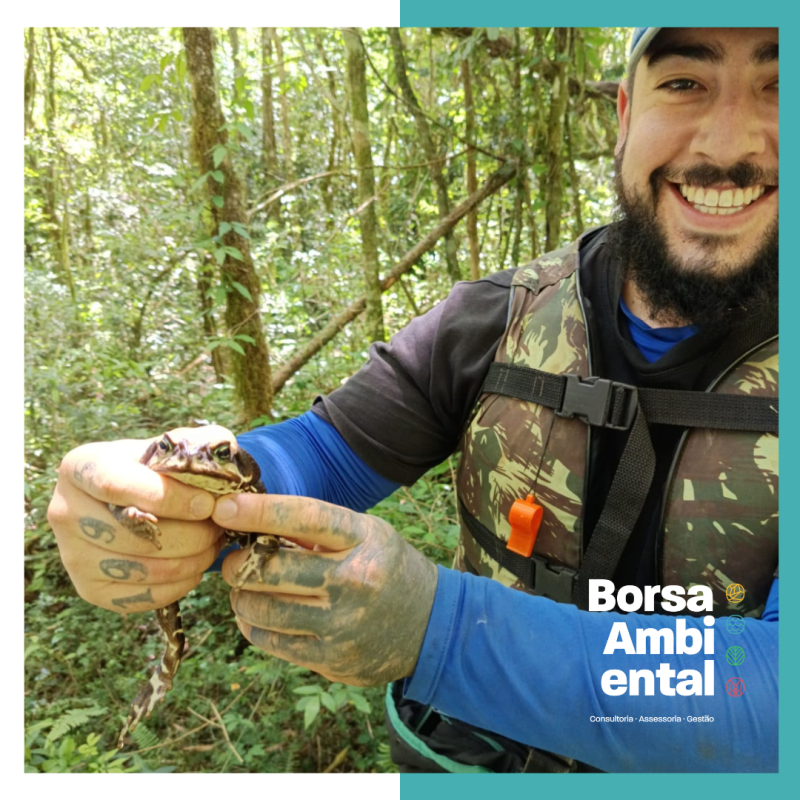 Laudo de Fauna e Flora: Entenda quando é necessário e por que ele é essencial Laudo de Fauna e Flora: Entenda quando é necessário e por que ele é essencial