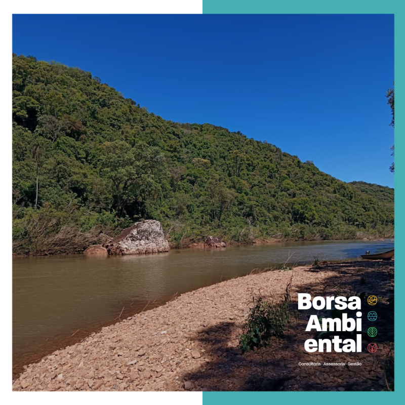 Laudo de Fauna e Flora: Entenda quando é necessário e por que ele é essencial Laudo de Fauna e Flora: Entenda quando é necessário e por que ele é essencial