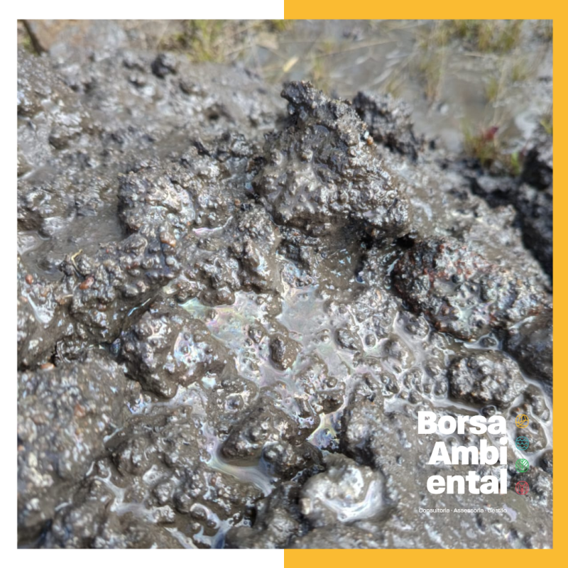 Como regularizar sua empresa após enchentes: responsabilidades ambientais no RS